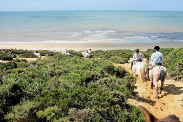 Explore the hidden parts of Portugal's south coast on horseback