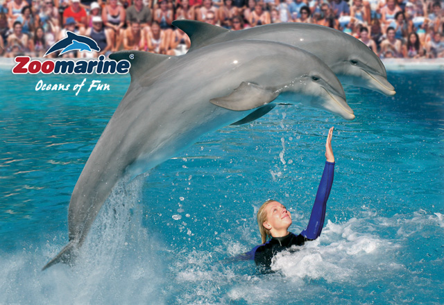 Zoomarine is a world of marine mammal magic