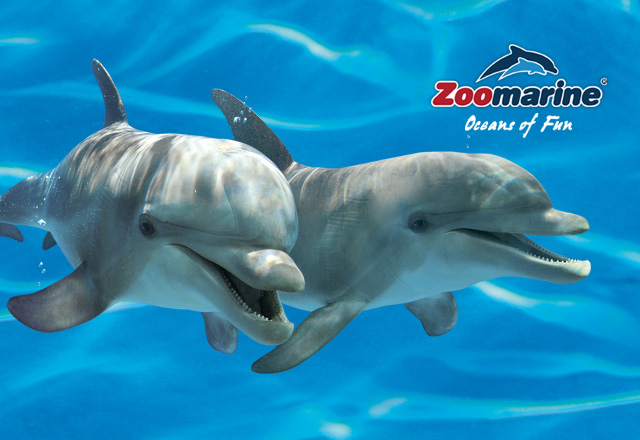 Zoomarine (2)