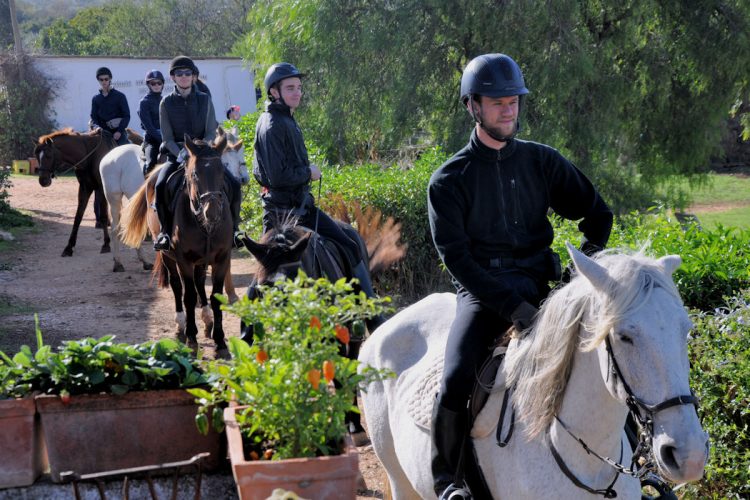 Horseriding trips for all levels from beginners to the experienced.