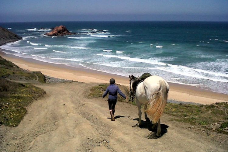 The views on a Ocean Villas horse riding trip are incredible