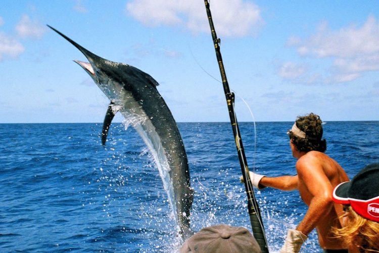 An Ocean Villas Luz guest catches a swordfish whilst Sea Fishing