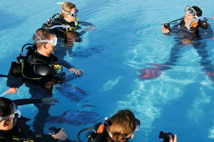 Take an Ocean Villas 'Beginners' course and dive in the pool