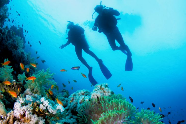 Ocean Villas scuba divers enjoying an open water dive near Lagos