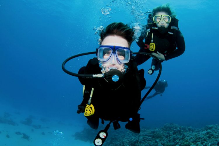 Enjoy our awesome underwater Scuba world