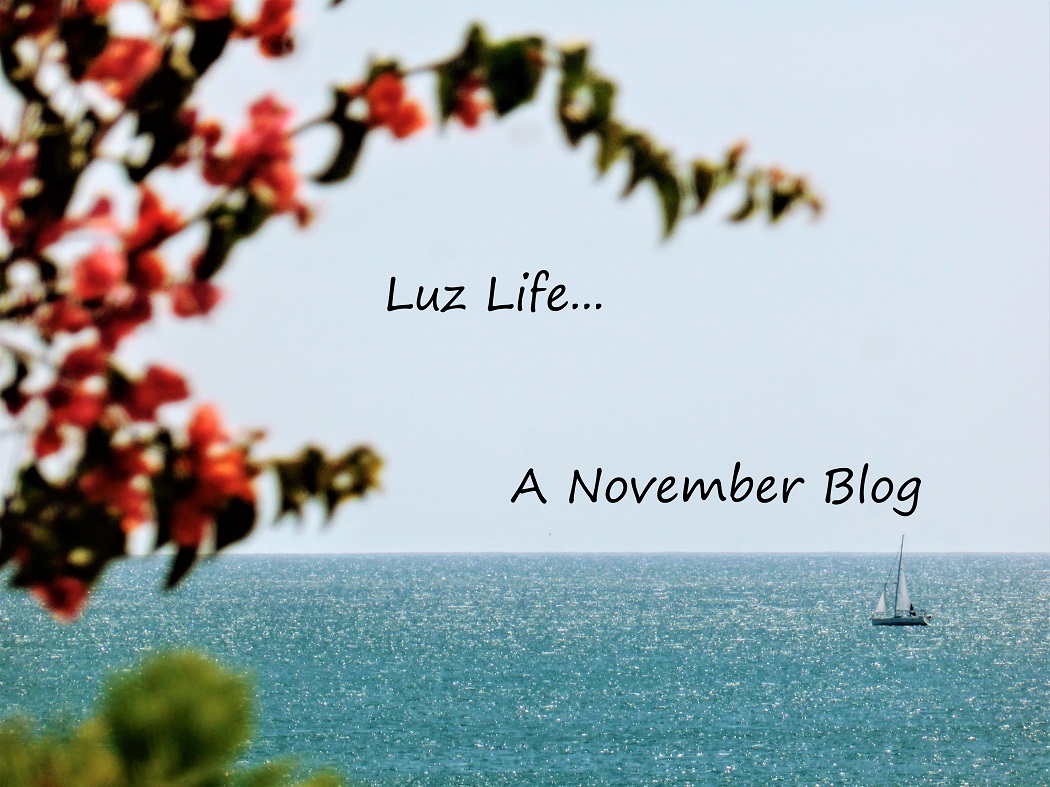 Luz Life - a nomadic blog